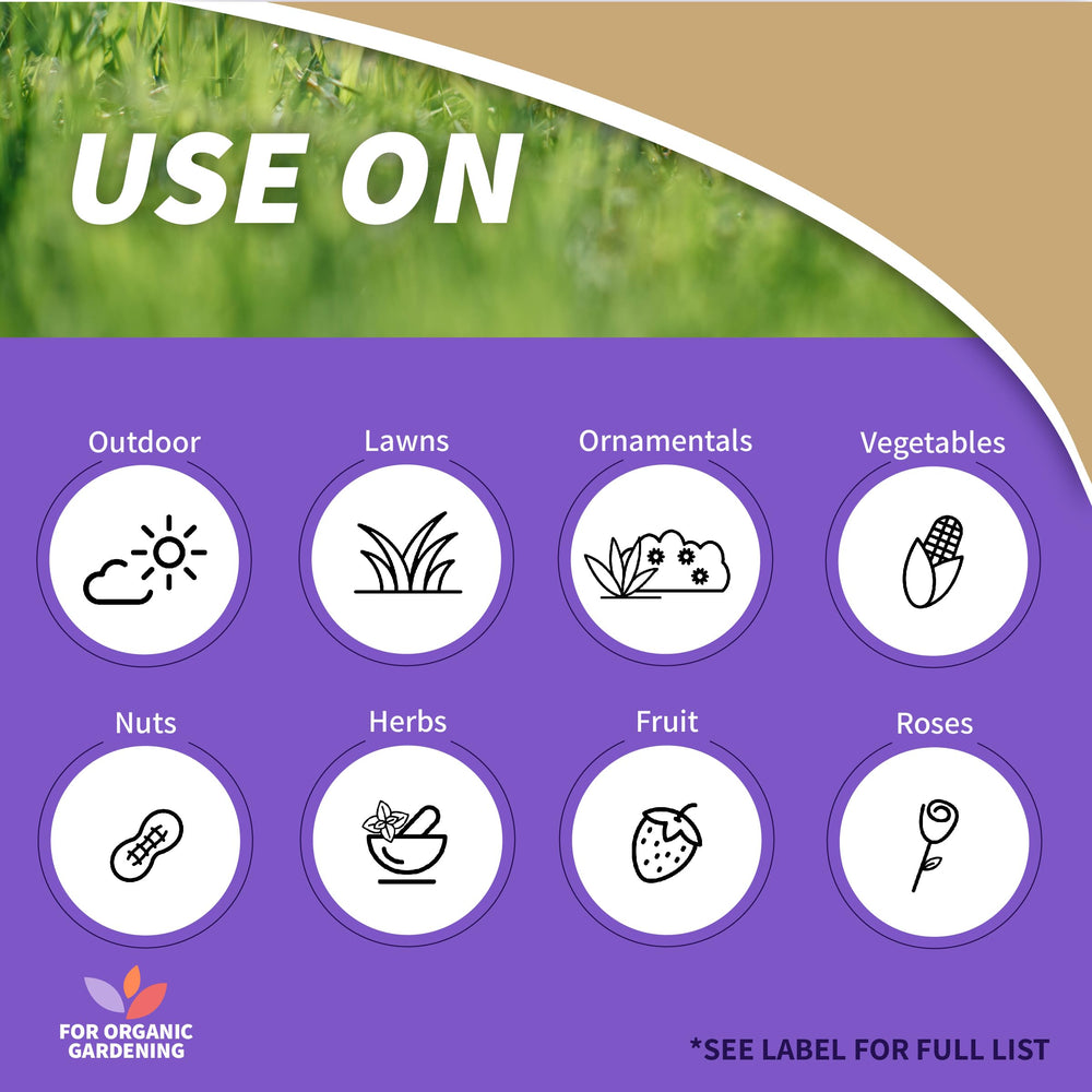 Captain Jack’s Copper Fungicide connected to hose-end sprayer for even coverage