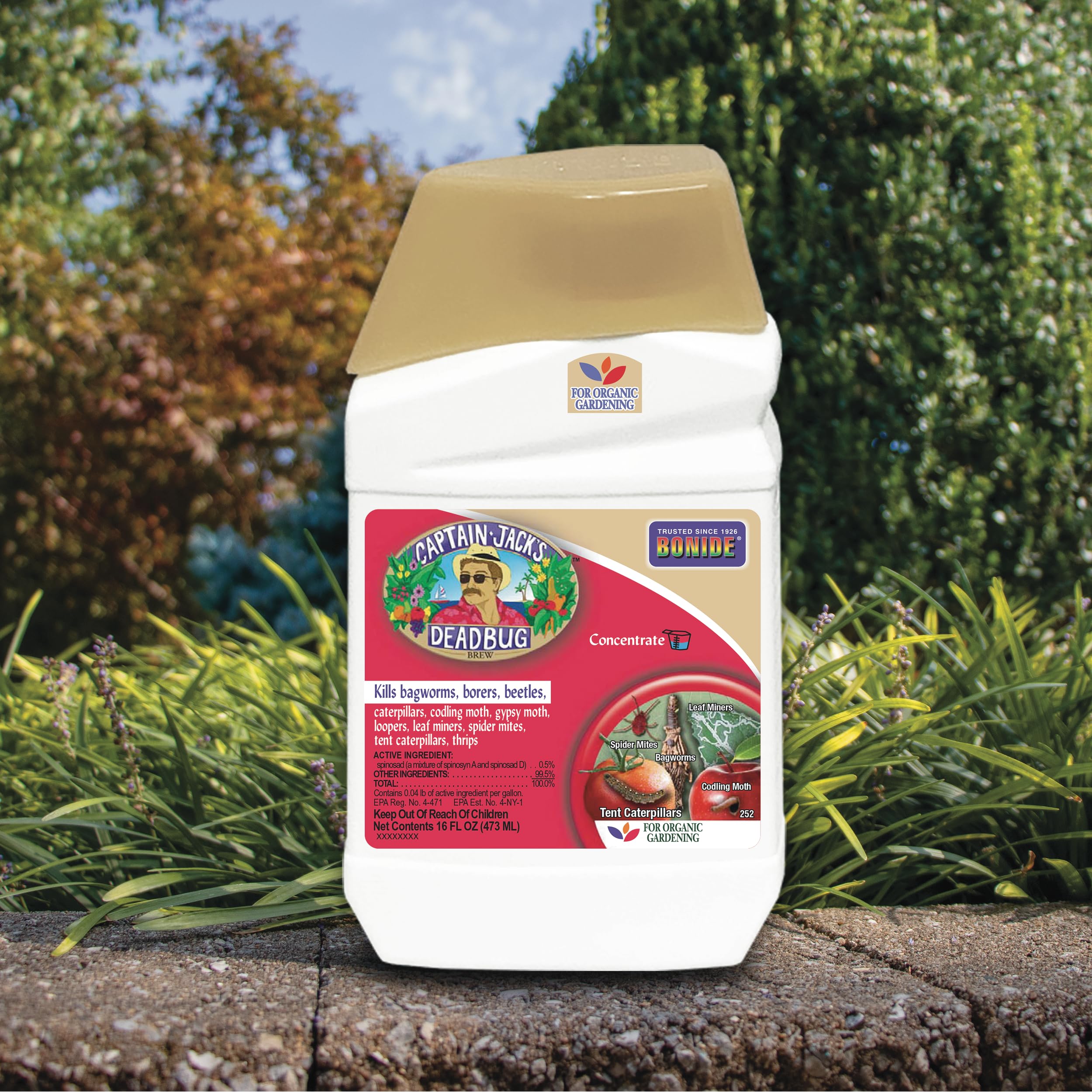 Bonide Captain Jack's Deadbug Brew concentrate mixed with water for spray