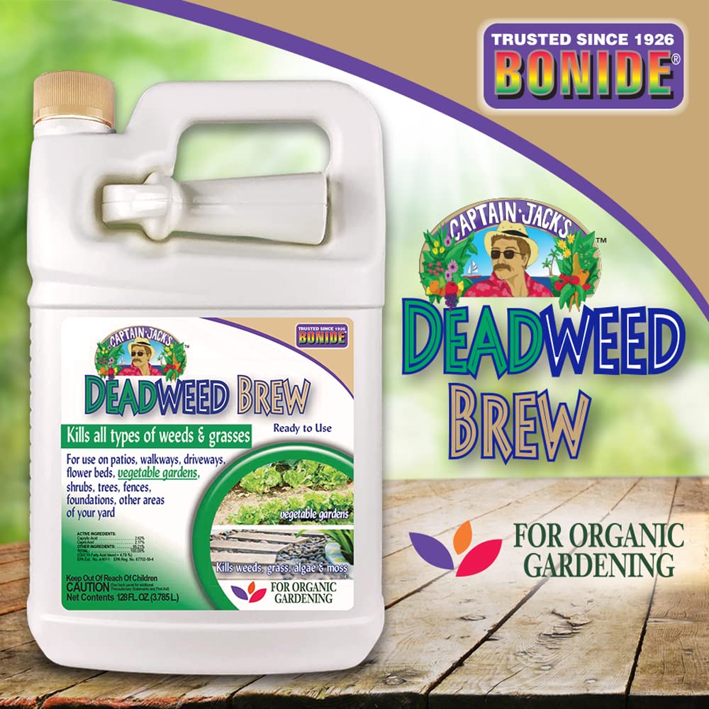 Garden bed edge treated with Captain Jack's Deadweed Brew