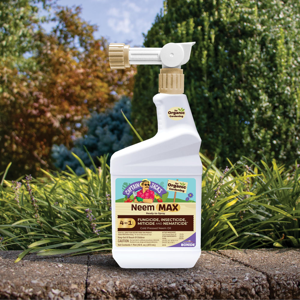 Neem Max leaf spray treatment on roses and ornamentals.