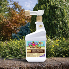 Neem Max leaf spray treatment on roses and ornamentals.