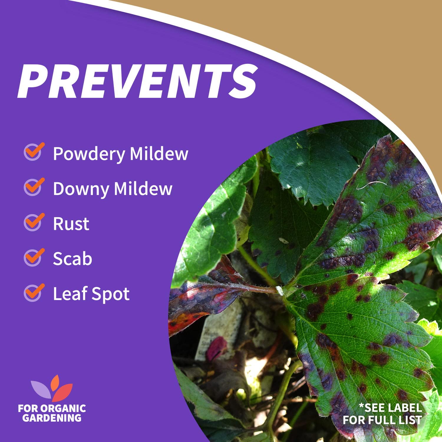 Neem Max applied to plant leaves for pest control in a garden