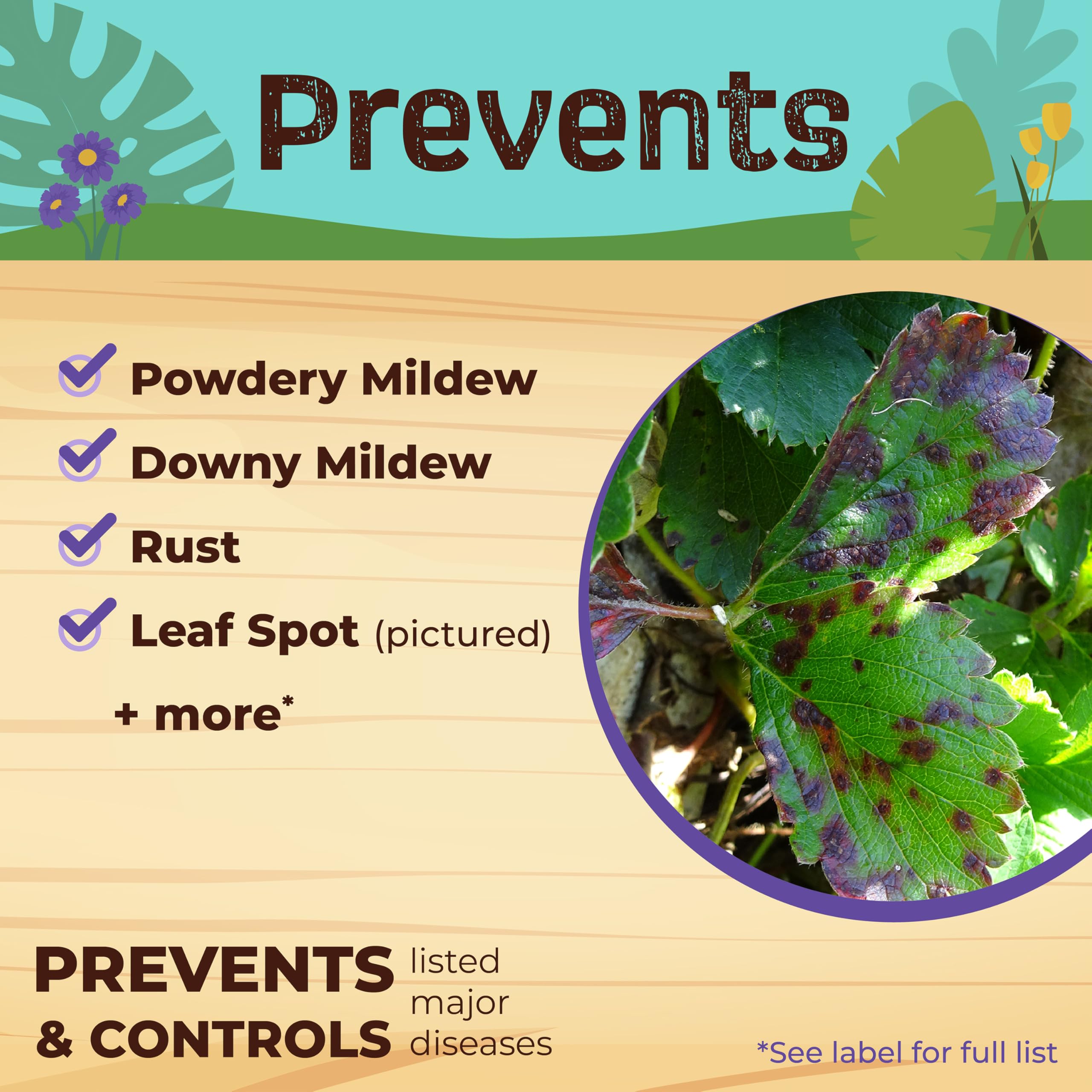 Neem Max protecting vegetables, fruits, and ornamentals from common garden threats.