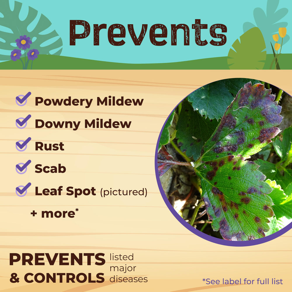 Neem Oil offers fungal disease protection for rust and mildew on garden plants.