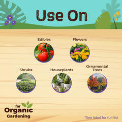 Rose plant coverage with Bonide Neem Oil protects blooms and foliage.