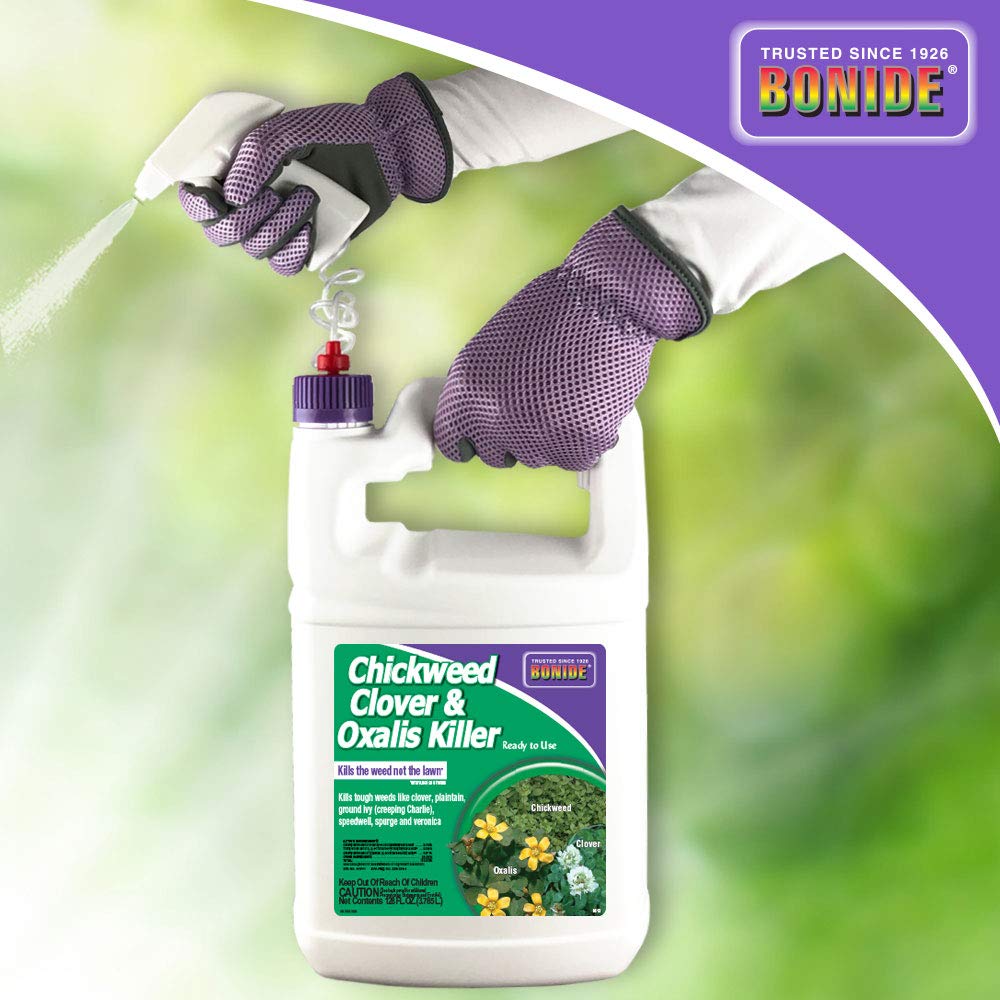 Bonide Chickweed Clover Oxalis Killer spray on lawn for fast weed suppression