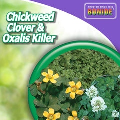 Bonide Chickweed Clover Oxalis Killer yard application demonstrates turf weed management