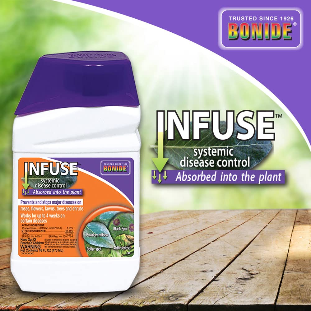 Bonide Infuse applied to roses and flowers to reduce disease risk