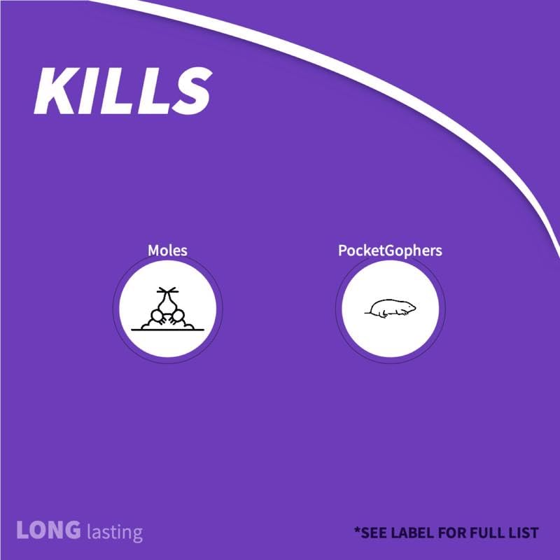 Bonide Moletox targets turf burrows and reduces activity around tunnels.