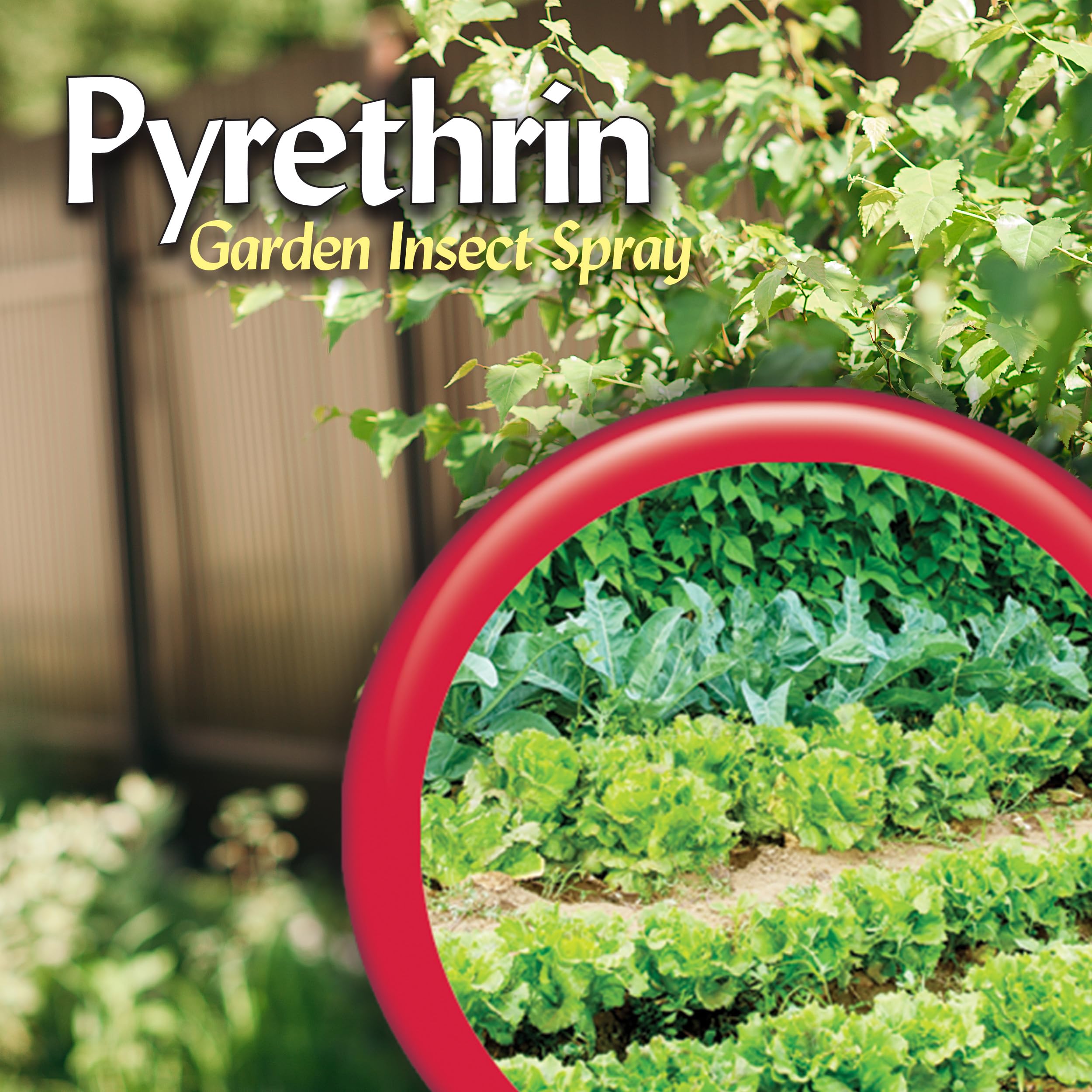 Chrysanthemum-derived Pyrethrin from Bonide for garden pest management.