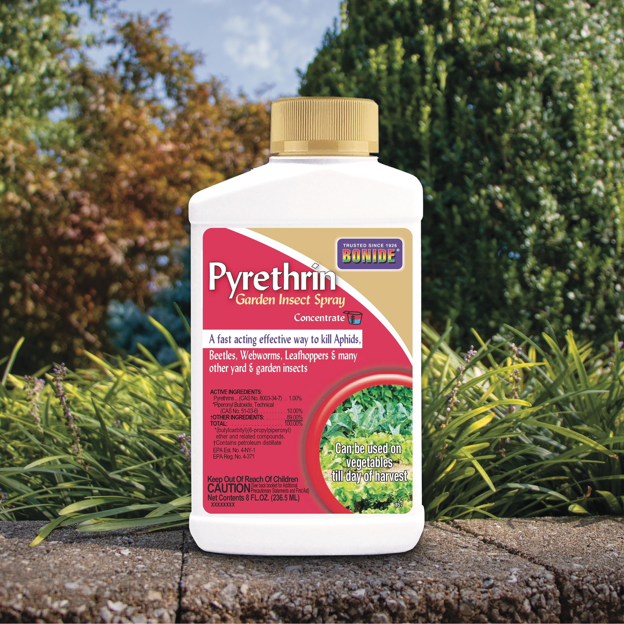 Measuring and diluting Bonide Pyrethrin for safe garden use.
