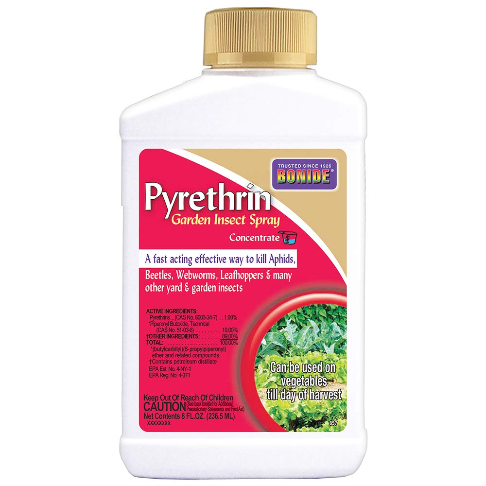 Bonide Pyrethrin garden spray bottle for fast pest control in outdoor beds.