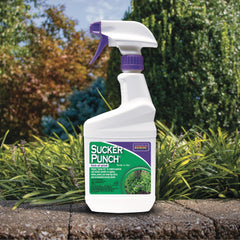 Bonide Sucker Punch promotes aesthetic branch development on woody trees.