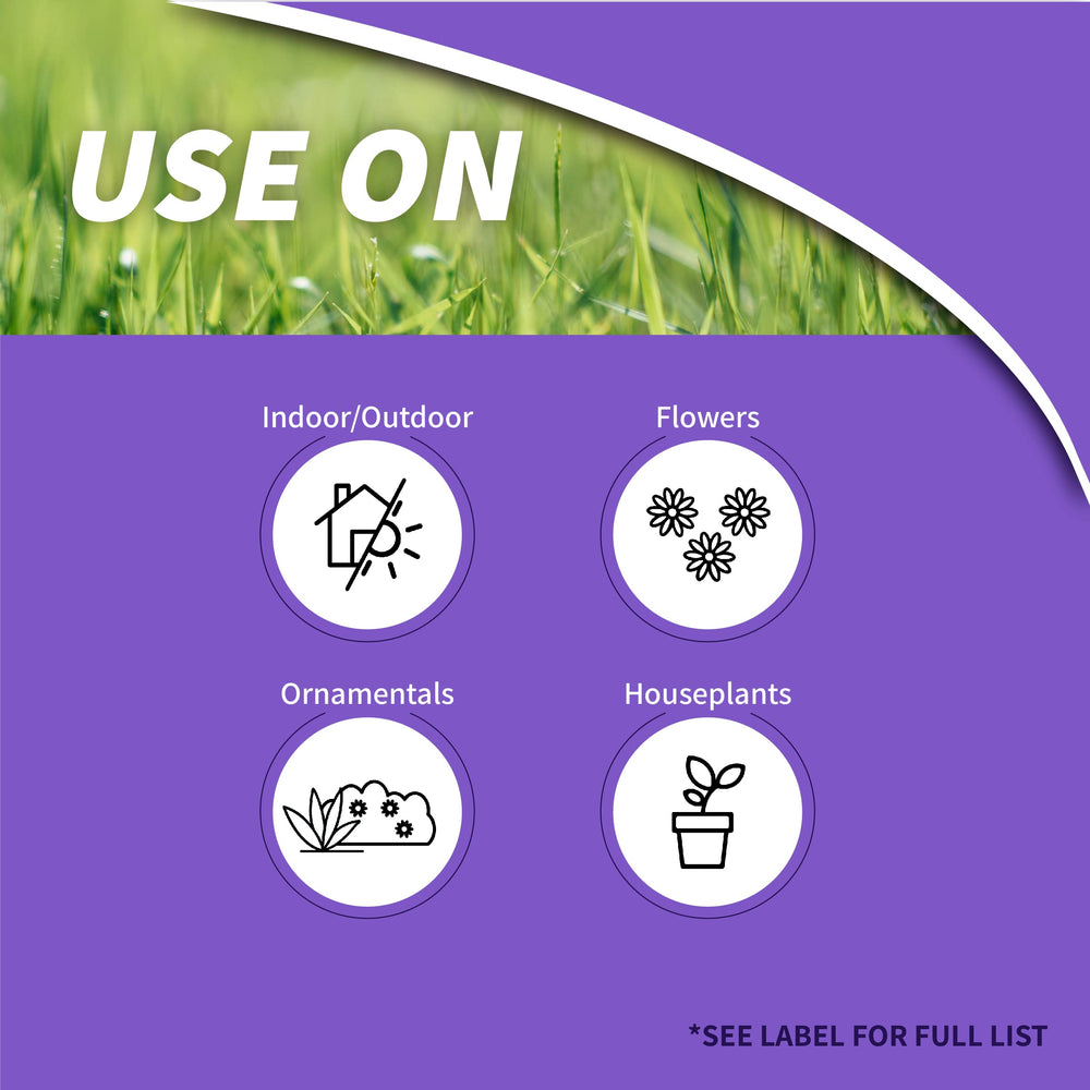 Bonide Systemic Houseplant Insect Control granules absorbed through roots for steady protection.