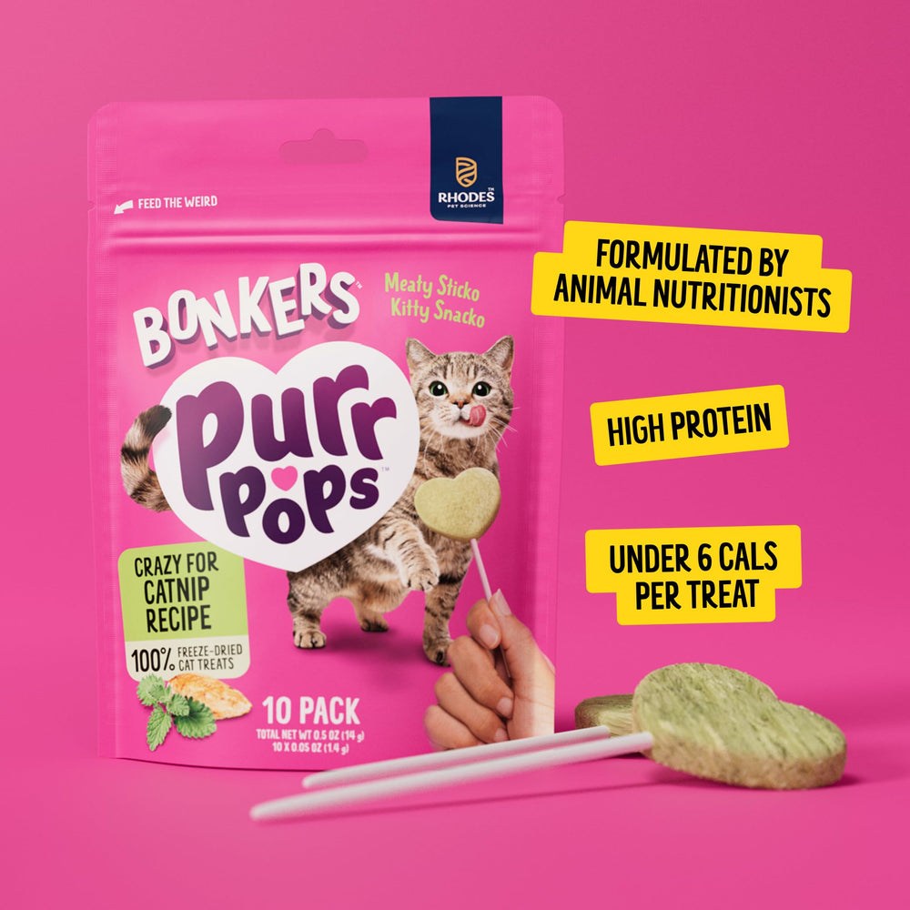Bonkers Purrpops cat enjoying snack close-up shows natural catnip appeal.