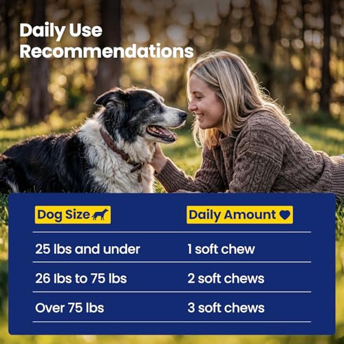 Boops Pets daily wellness routine concept image suggests easy integration into dog's day.