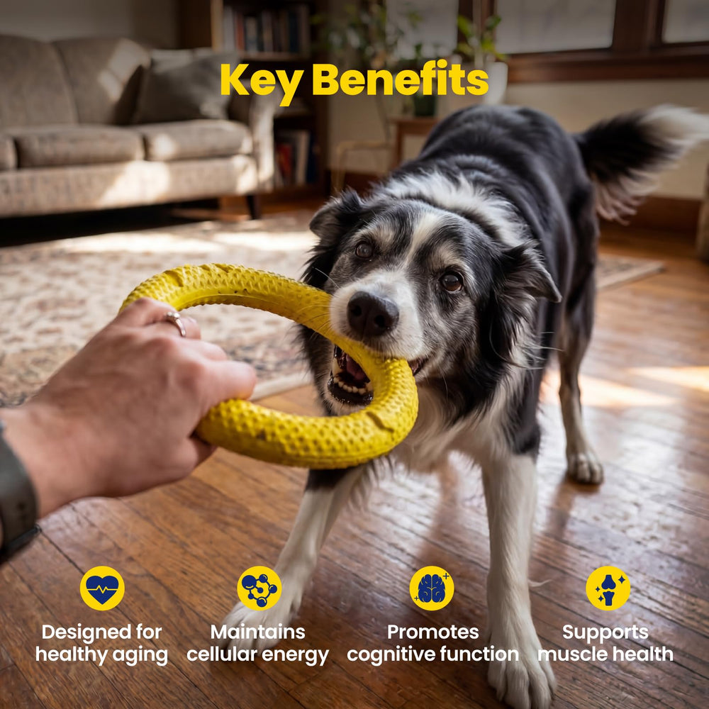 Boops Pets human-grade ingredients label shows clean, grain-free formulation.