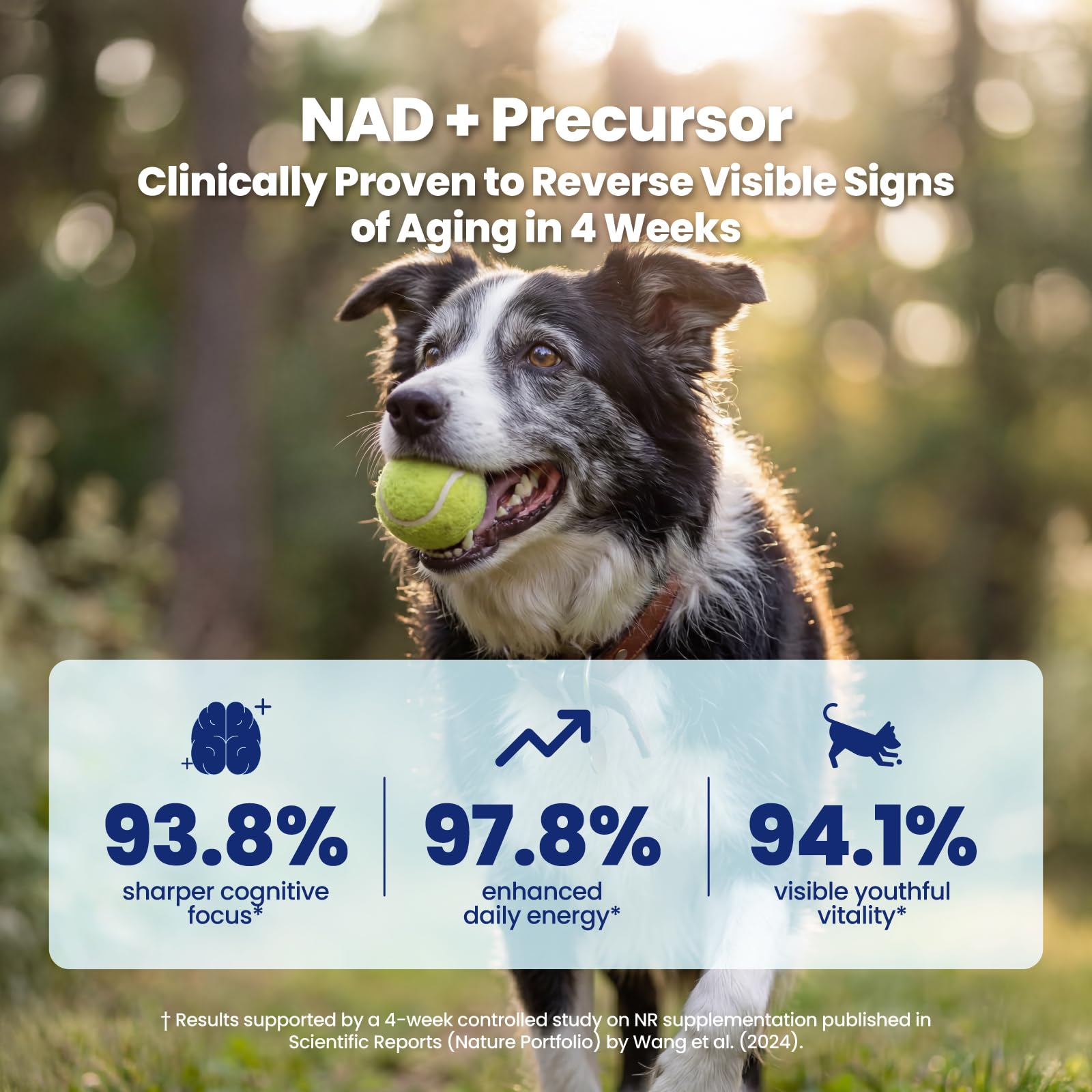 Boops Pets NAD+ NR close-up shows high NR dose per serving for vitality.