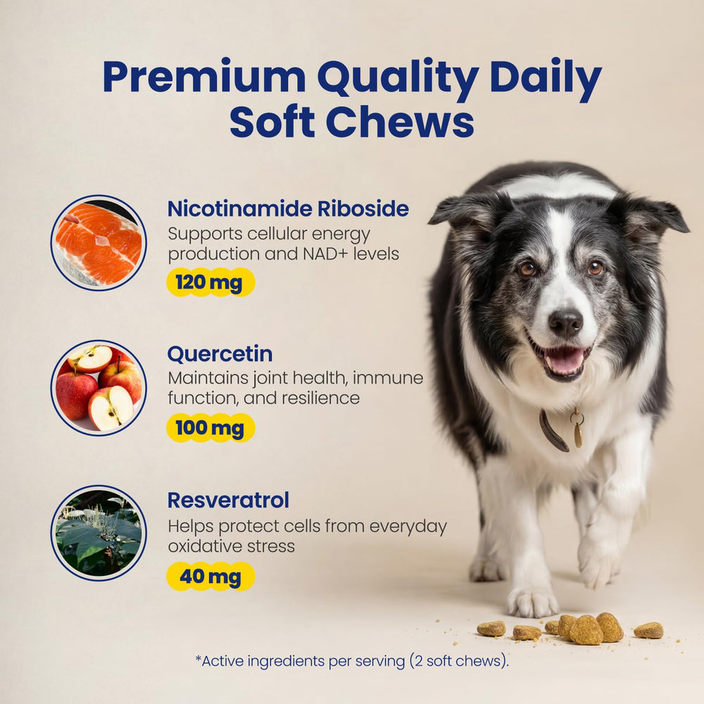 Boops Pets pasture-raised chicken chews image highlights natural protein source and dog-friendly flavor.