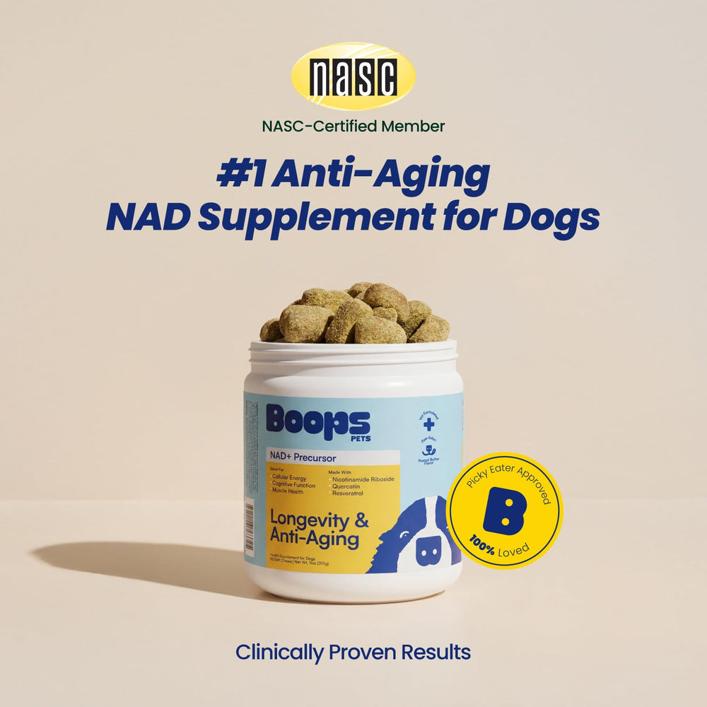 Boops Pets senior dog soft chews serving image shows two-chew daily portion for potential energy.