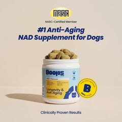 Boops Pets senior dog soft chews serving image shows two-chew daily portion for potential energy.