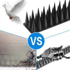 BORHOOD Durable plastic spikes are weather-ready and rust-free for outdoors.