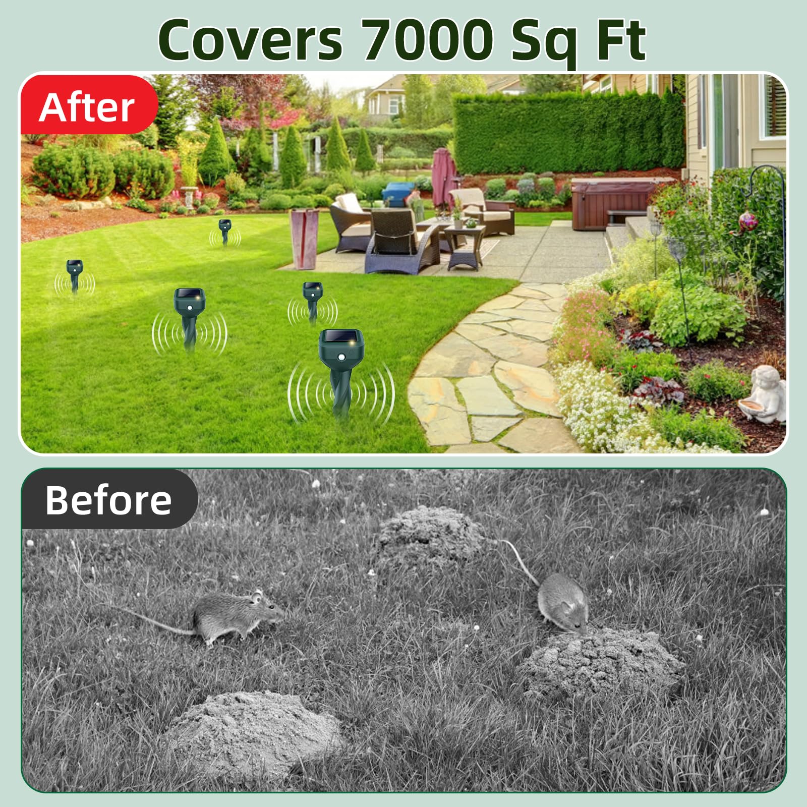 BORHOOD vegetable-garden use demonstrates solar-powered pest deterrence.