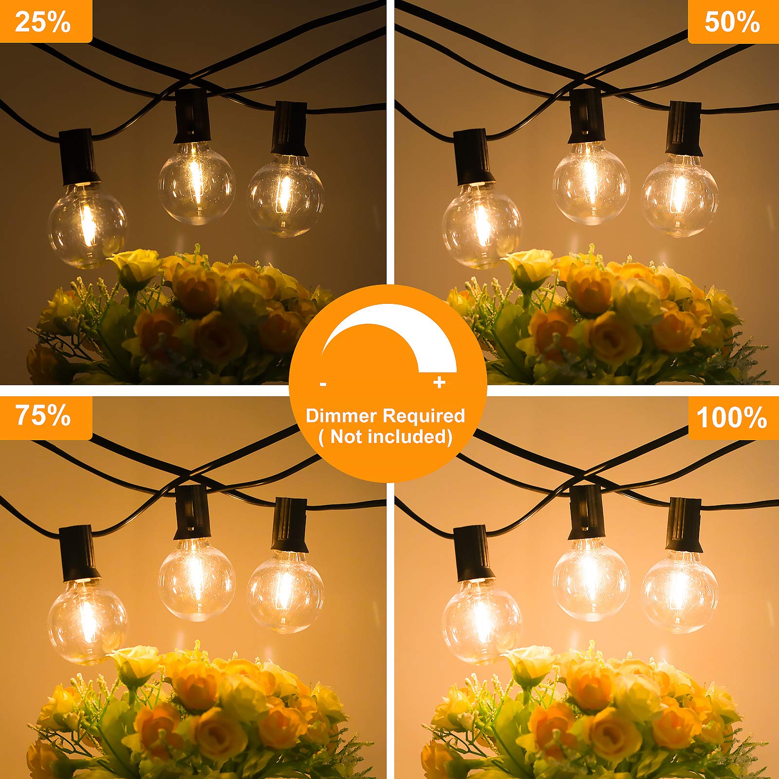 Bosceos dimmable G40 globe string for customizable brightness.