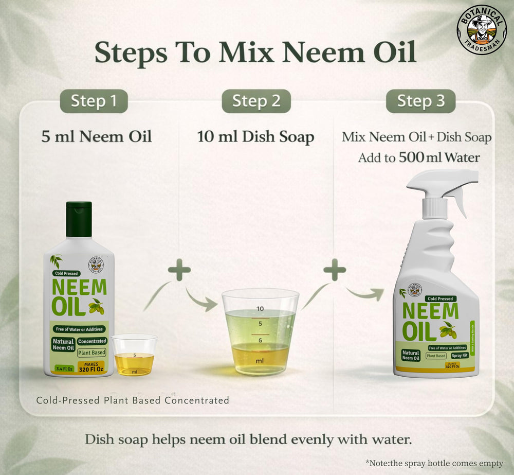 Botanical Tradesman Neem Oil Spray misting leaves to support healthy foliage