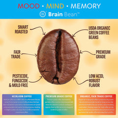 Brain Bean Organic Coffee brew pour showcasing smooth, low-acid flavor for daily mornings