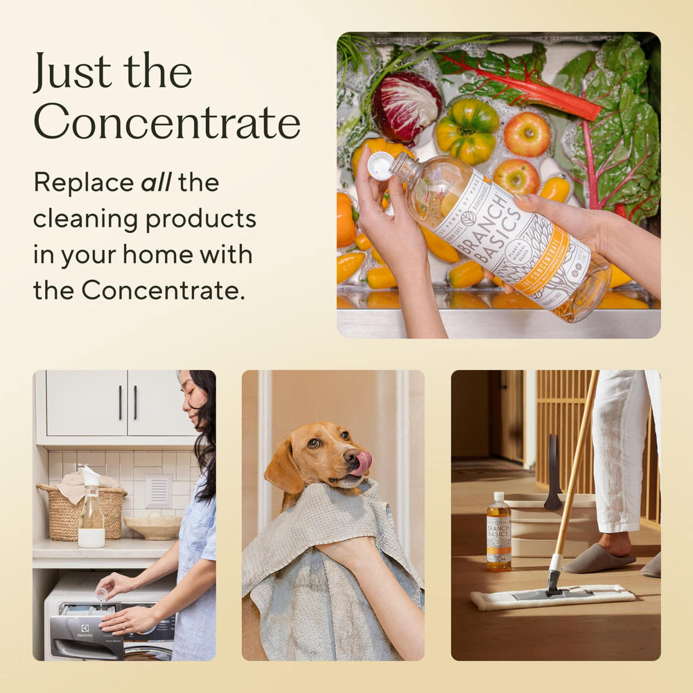 Branch Basics Concentrate dilution setup highlights eco-friendly refills.