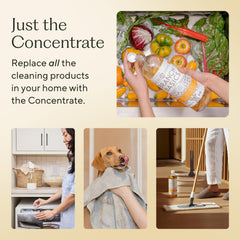 Branch Basics Concentrate dilution setup highlights eco-friendly refills.