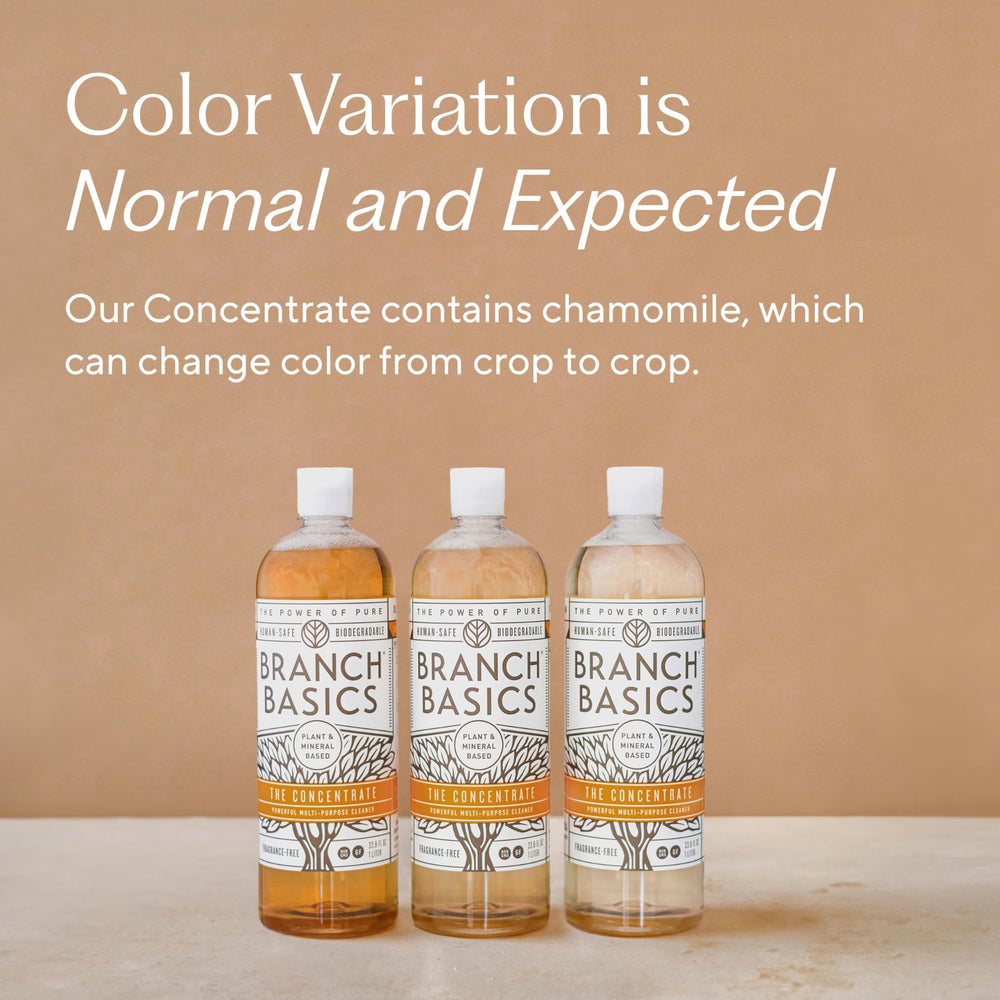 Branch Basics Concentrate refill-bottle promotes sustainable cleaning habits.