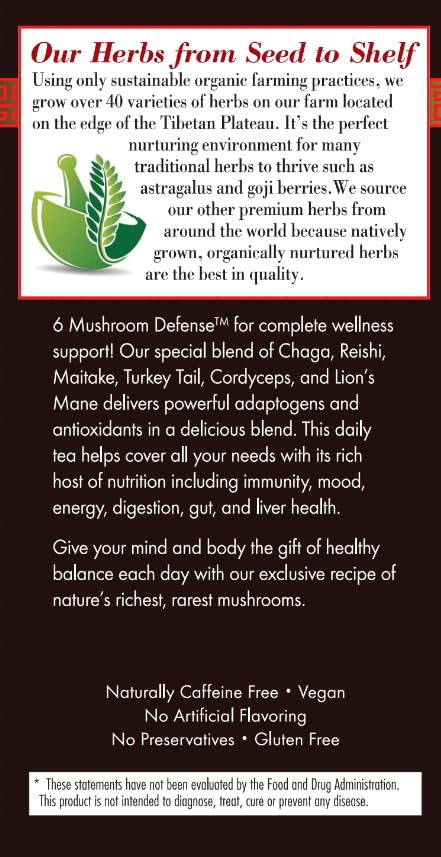 Bravo Tea Lions Mane mushroom close-up highlighting adaptogenic profile.