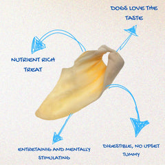Brazilian Pet cow ears close-up texture ideal for satisfying chews