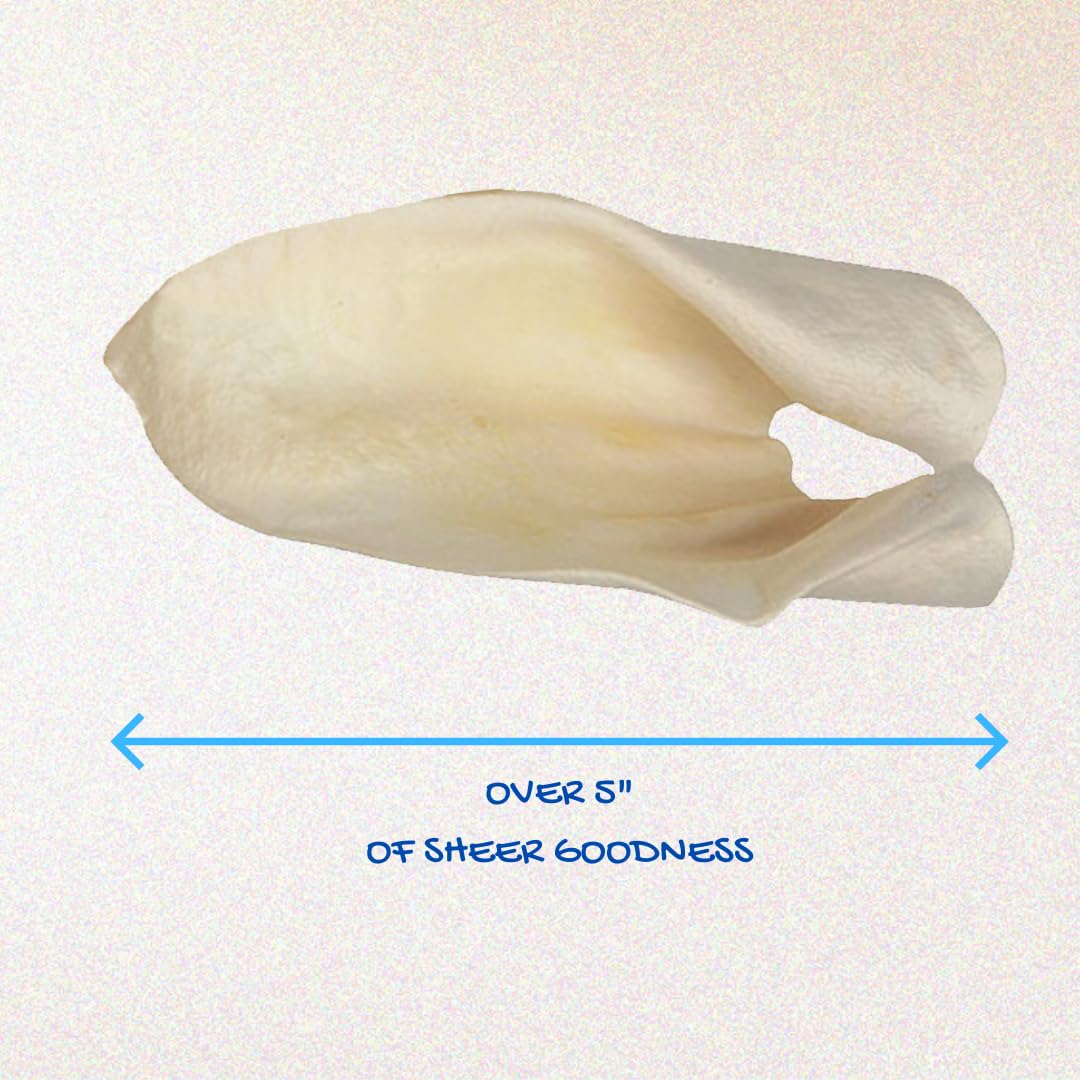 Brazilian Pet cow ears size over five inches suitable for larger dogs