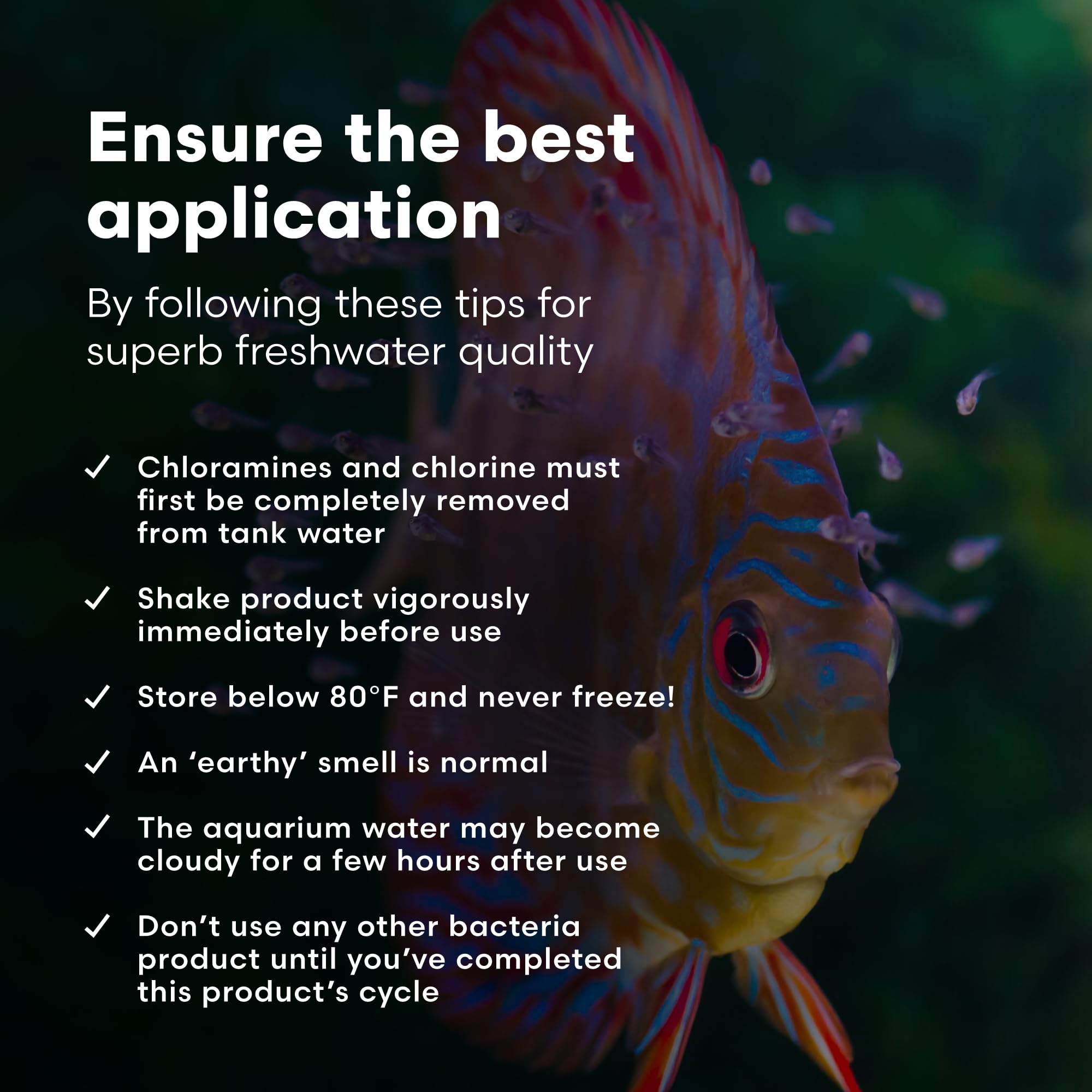 Brightwell MicroBacter Start XLF, solution pour aquariums plantés et densité élevée.