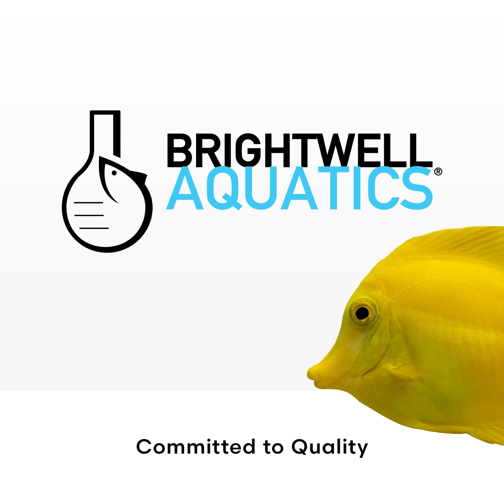 Brightwell MicroBacter Start XLF, prévention du syndrome du nouveau réservoir et stabilité de l'eau.