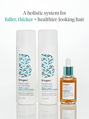 Briogeo Destined for Density packaging-closeup emphasizes six-free clean formula
