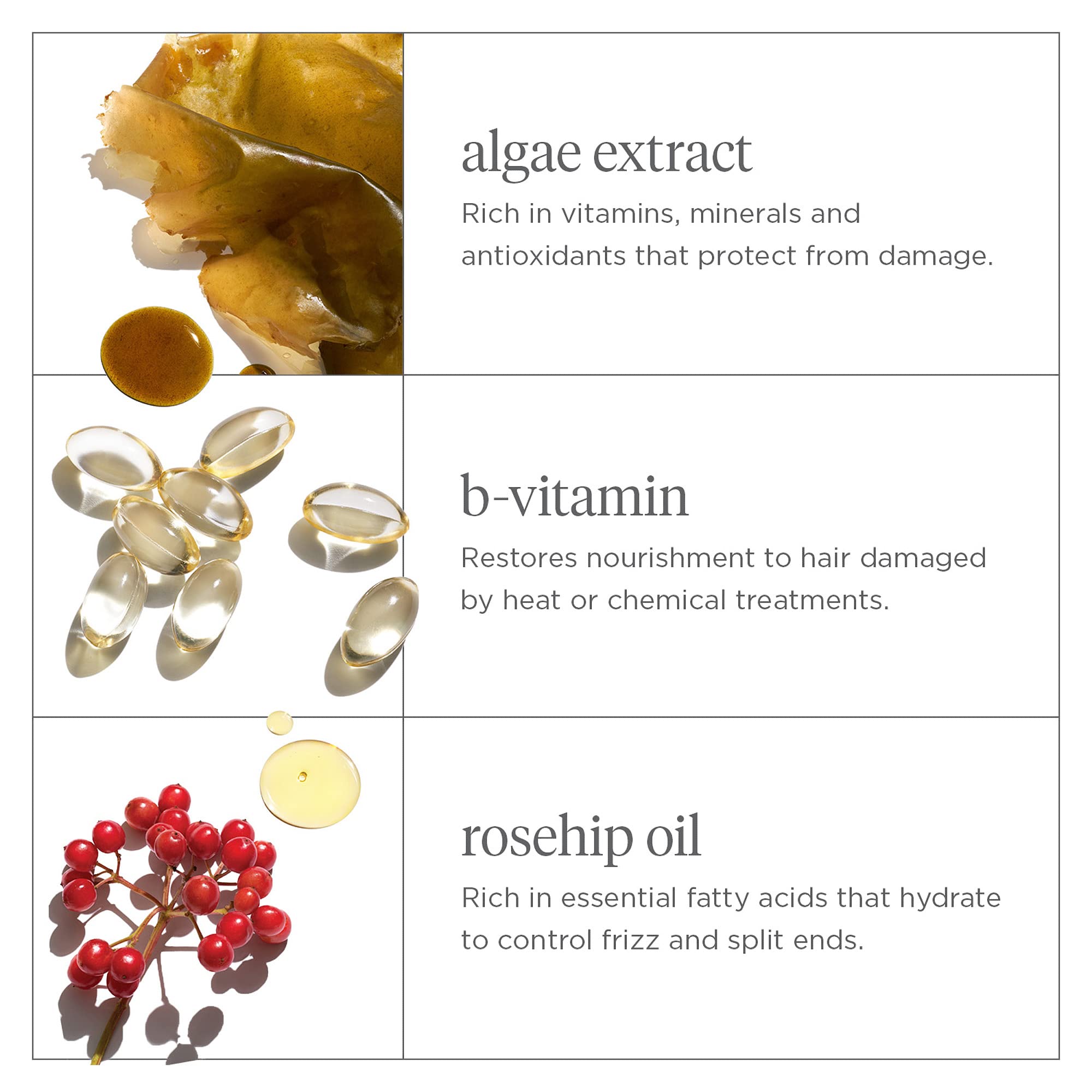 Briogeo Don't Despair, Repair! ingredients panel with rosehip oil and algae.