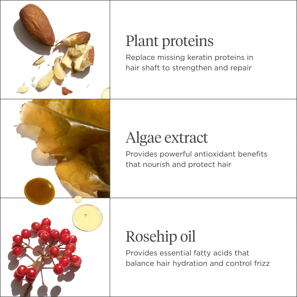 Briogeo Don't Despair, Repair! biotin close-up highlights antioxidant-rich ingredients