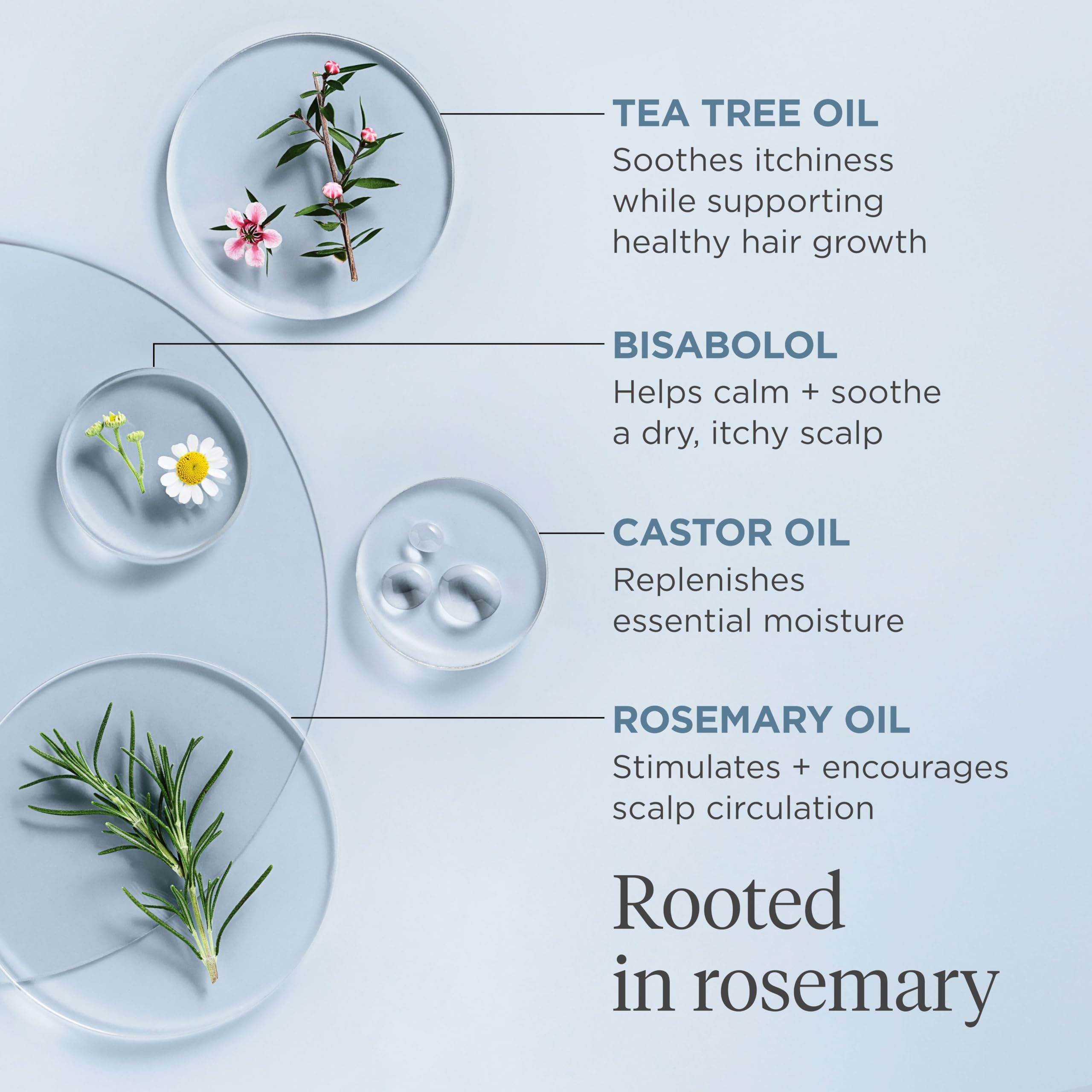 Swirl of rosemary and castor oil signaling moisture delivery in Briogeo oil.