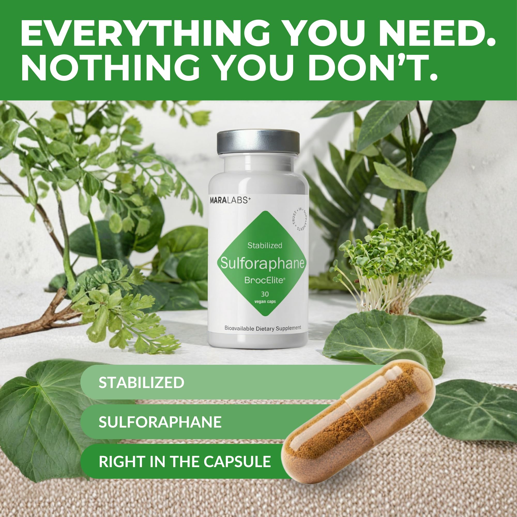 BrocElite Plus close-up on ingredients suggests natural sourcing