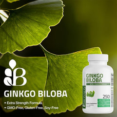 Bronson Ginkgo Biloba label detail notes GMO-free and gluten-free features.