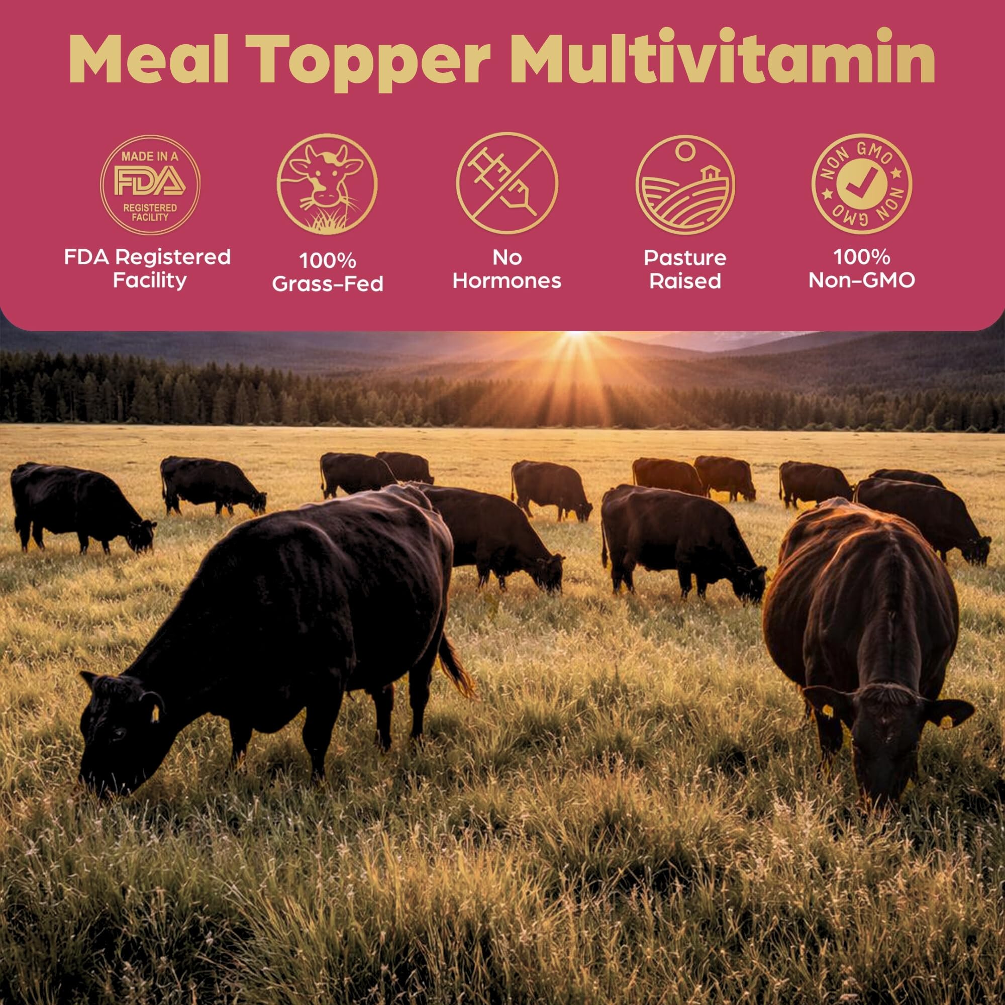 Brothhh daily-use topper entices picky eaters at meals