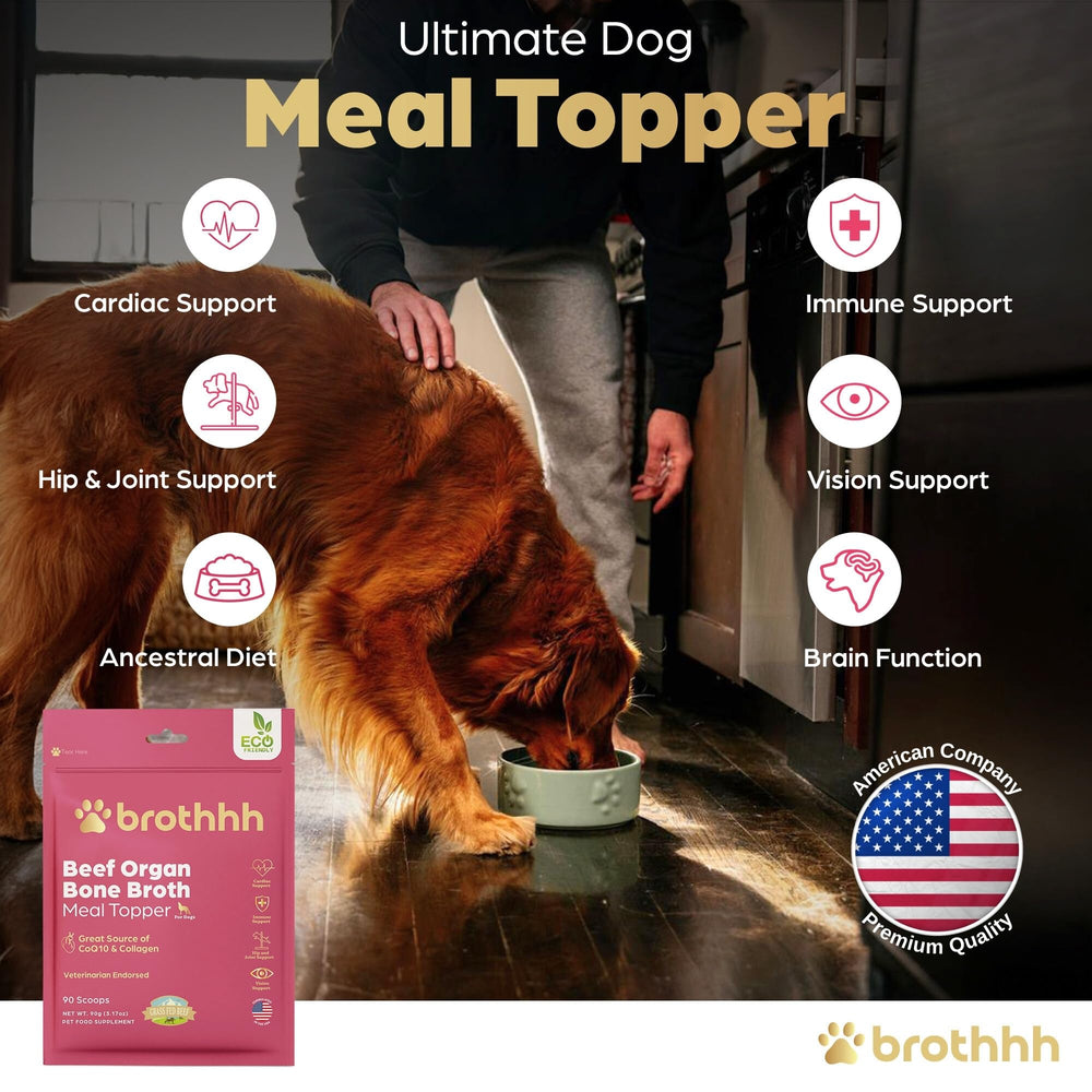 Brothhh veterinarian-approved topper supports canine wellness