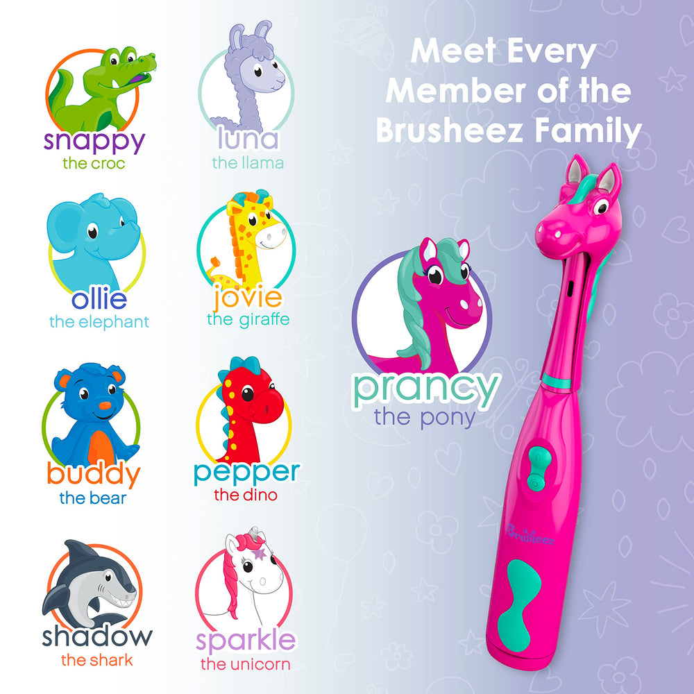 Brusheez user manual with simple setup and care instructions