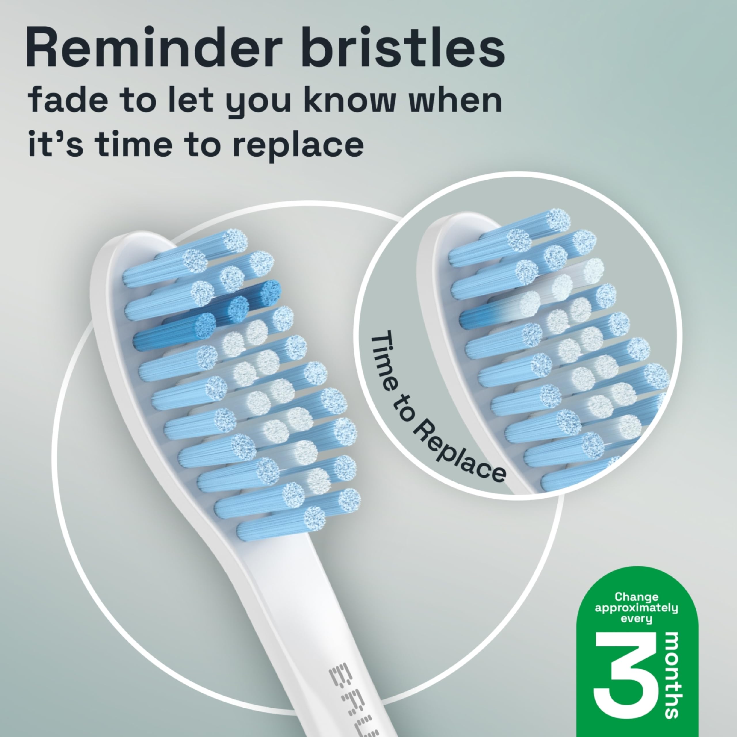 Brushmo BM658 curved bristle field cushions gums during brushing.