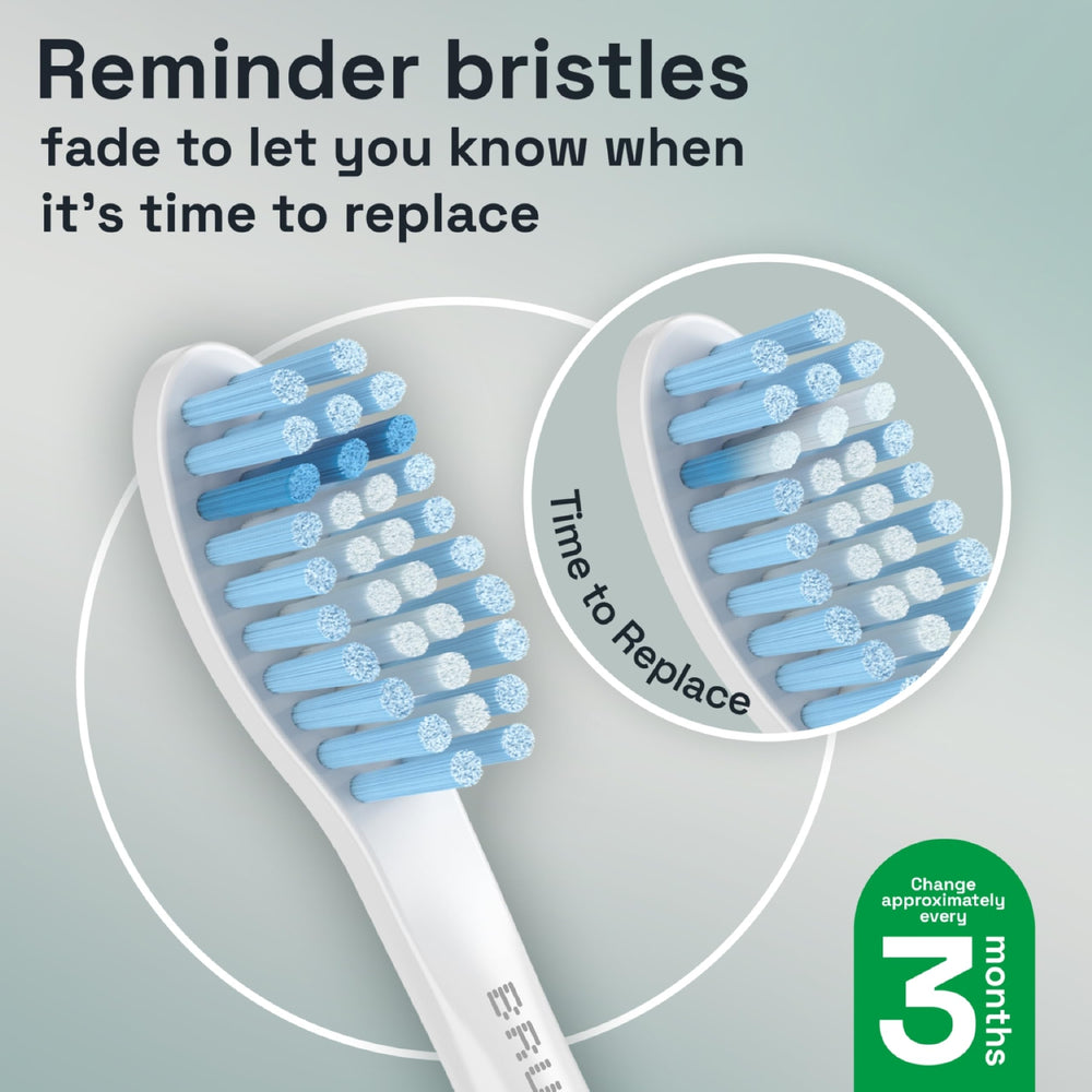 Brushmo BM658 curved bristle field cushions gums during brushing.