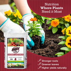 BRUT WORM FARMS indoor garden applying worm castings to soil